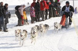 Lenk 2012 SM